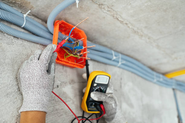 Best Circuit Breaker Repair  in Palmer Lake, CO