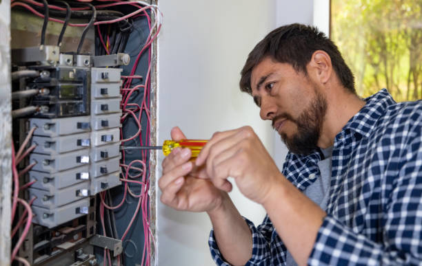 Best Residential Electrician Services  in Palmer Lake, CO